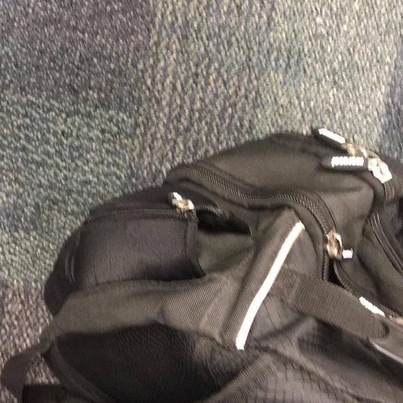 Meet your Posher, Riley - Picture 1 of 1